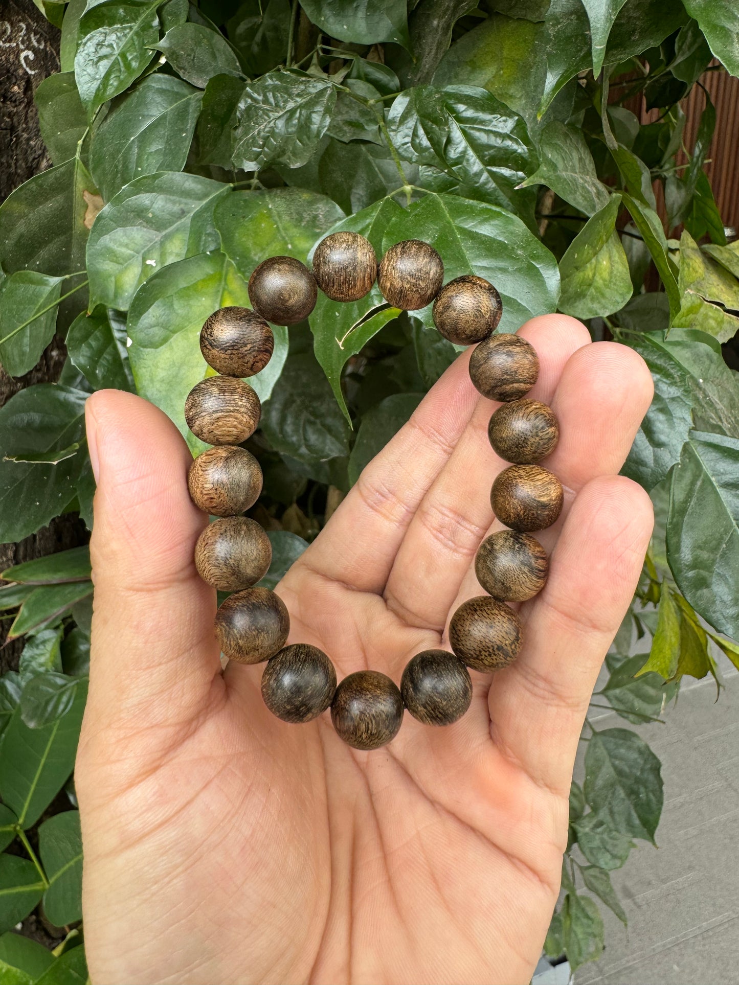 Super King Agarwood Bracelet , original color Agarwood Beads , Wild Agarwood Philipinnse , Black Agarwood Real .