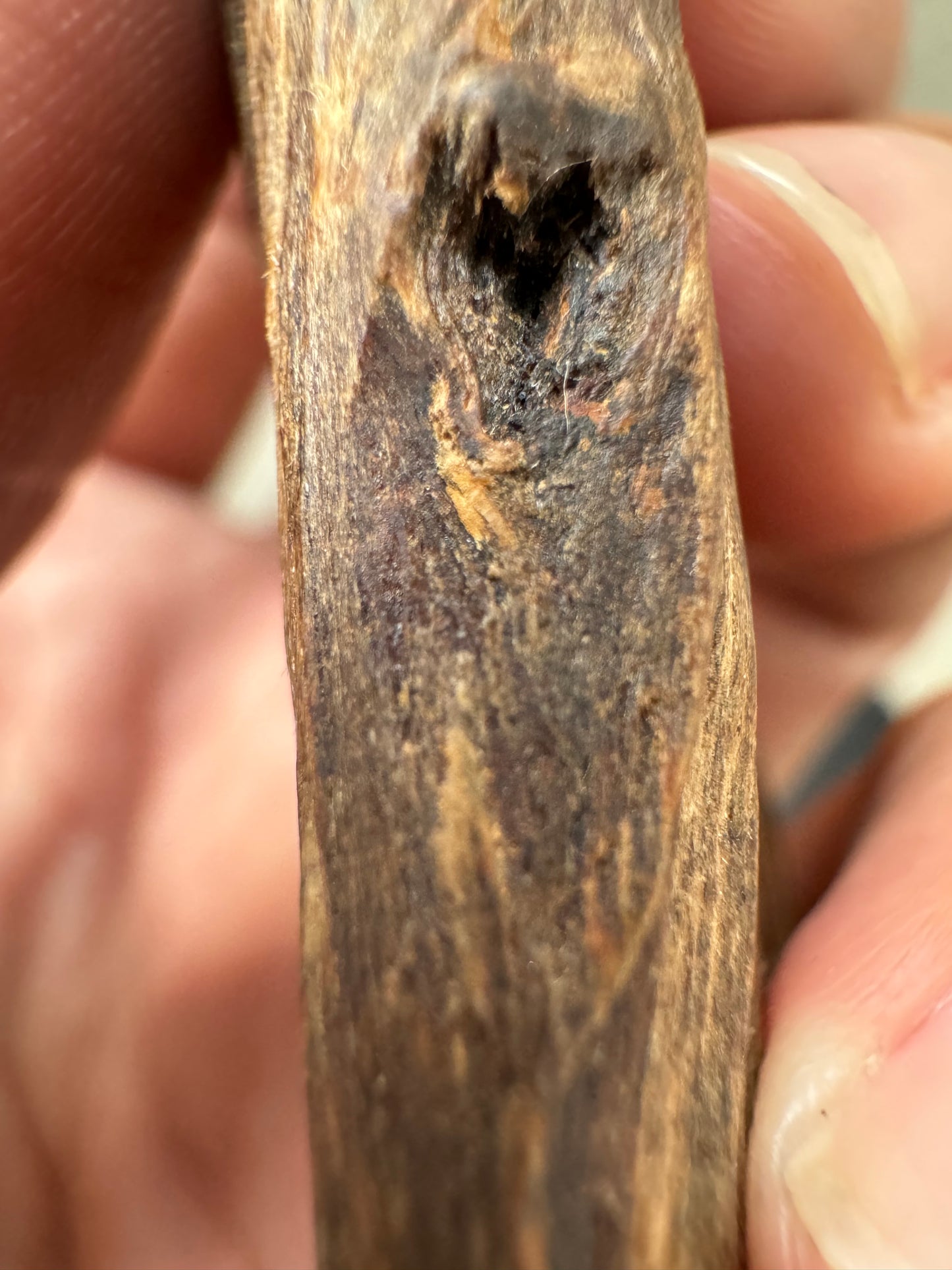Real Ky Nam Vietnamese , Super King Of King Agarwood, Very Rare and 1000 to 2000 years old.