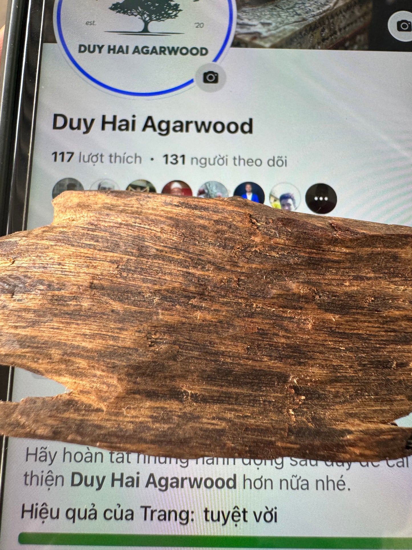 Real Ky Nam Vietnamese , Super King Of King Agarwood, Very Rare and 1000 to 2000 years old.