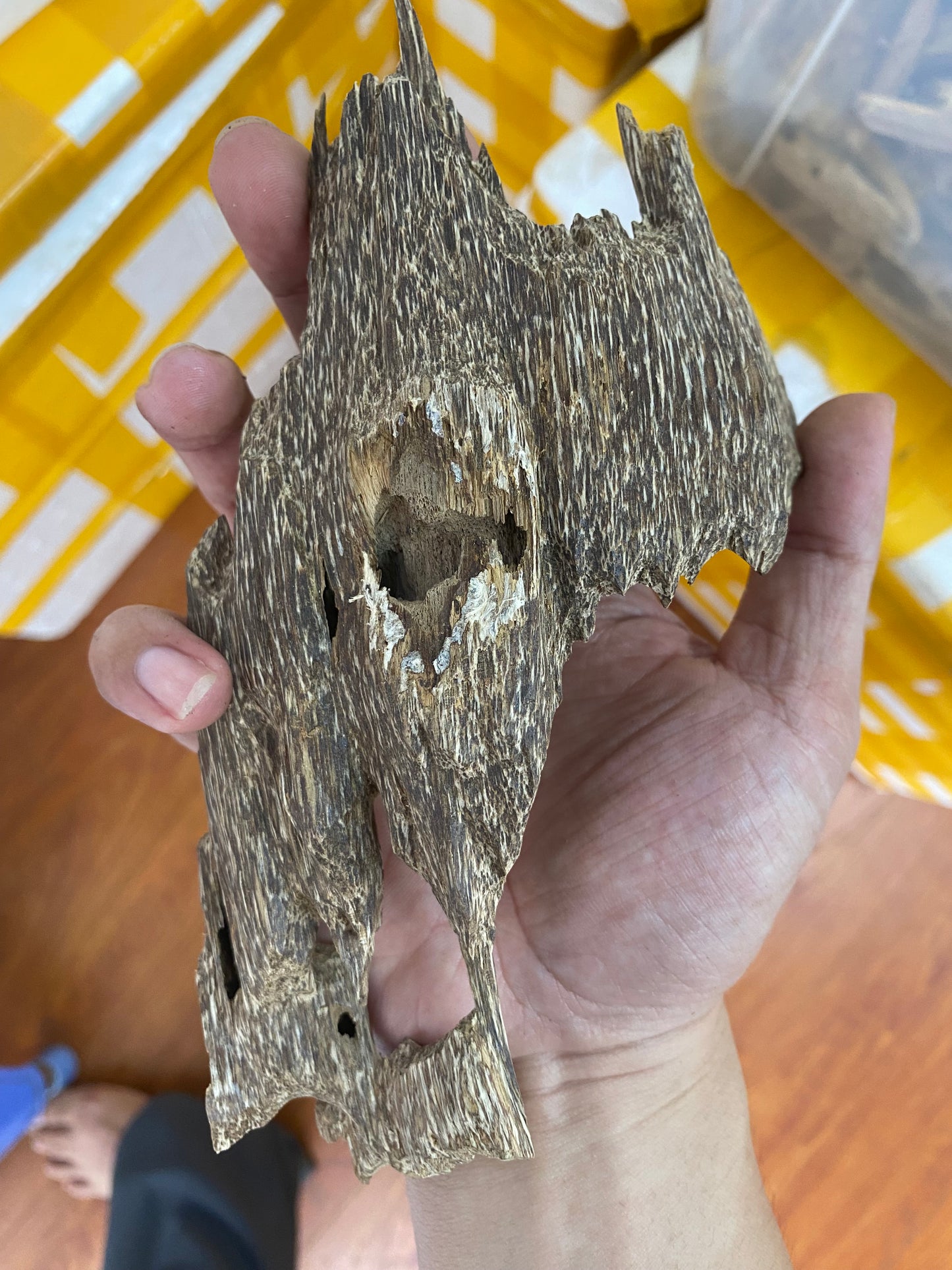 Wild Agarwood Chips From Vietnamese Forest , Super Grade Agarwood, OUD Chips , Natural Wild Oud Chips