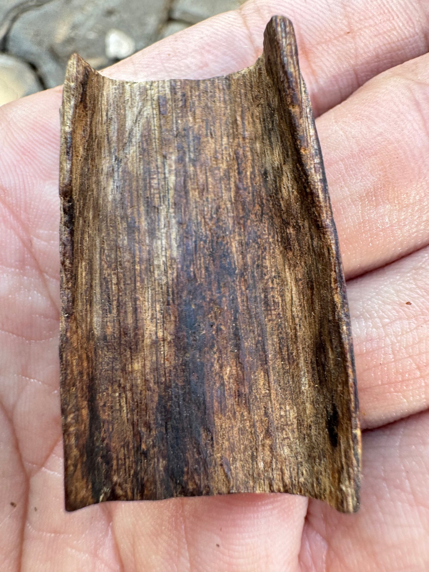 Agarwood Vietnam Sinking Pendant , Rare Sinking Agarwood From Vietnamese Forest , Strong Natural Fragrance & Ancient Resin Layers