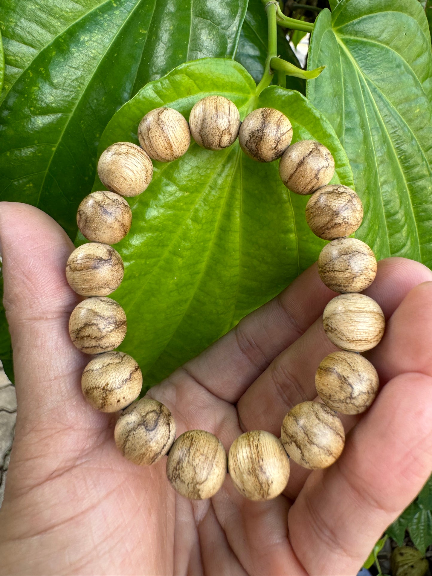 Indonesia Kalimantan Agarwood Original Natural - Borneo Island Agarwood - Super Grade