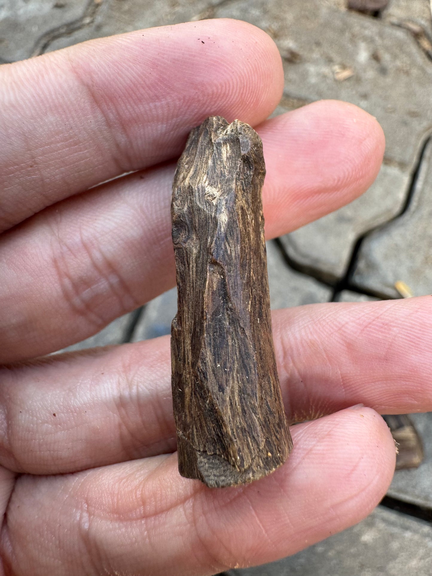 Agarwood Vietnam Sinking Pendant , Rare Sinking Agarwood From Vietnamese Forest , Strong Natural Fragrance & Ancient Resin Layers