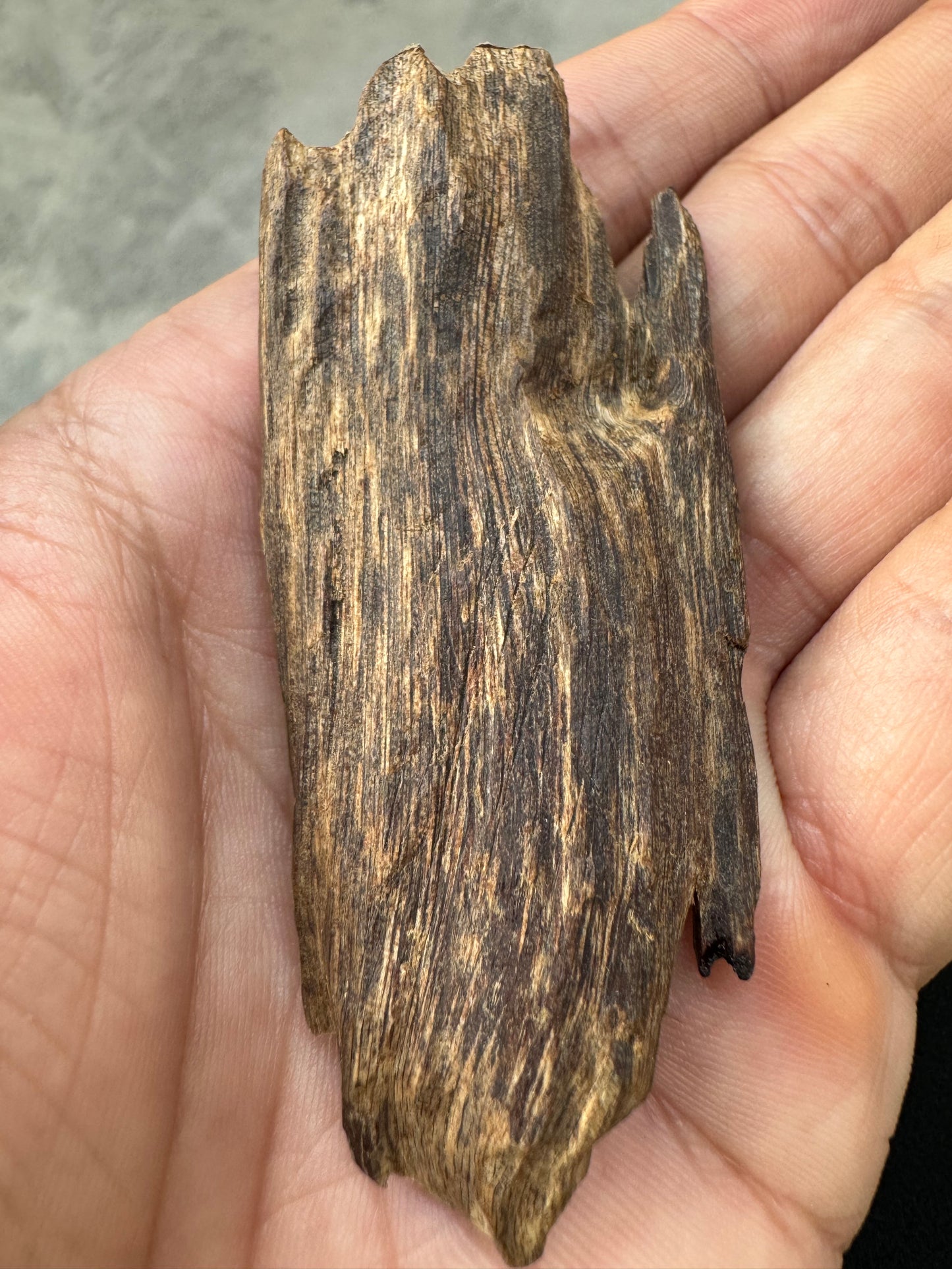 Real Ky Nam Vietnamese , Super King Of King Agarwood, Very Rare and 1000 to 2000 years old.