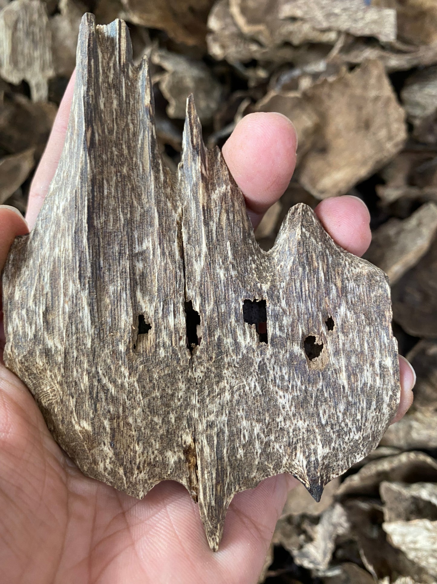Old Agarwood Chips , Oudh Chip, High Quality Agarwood , Vietnamese Wild Agarwood Chips .