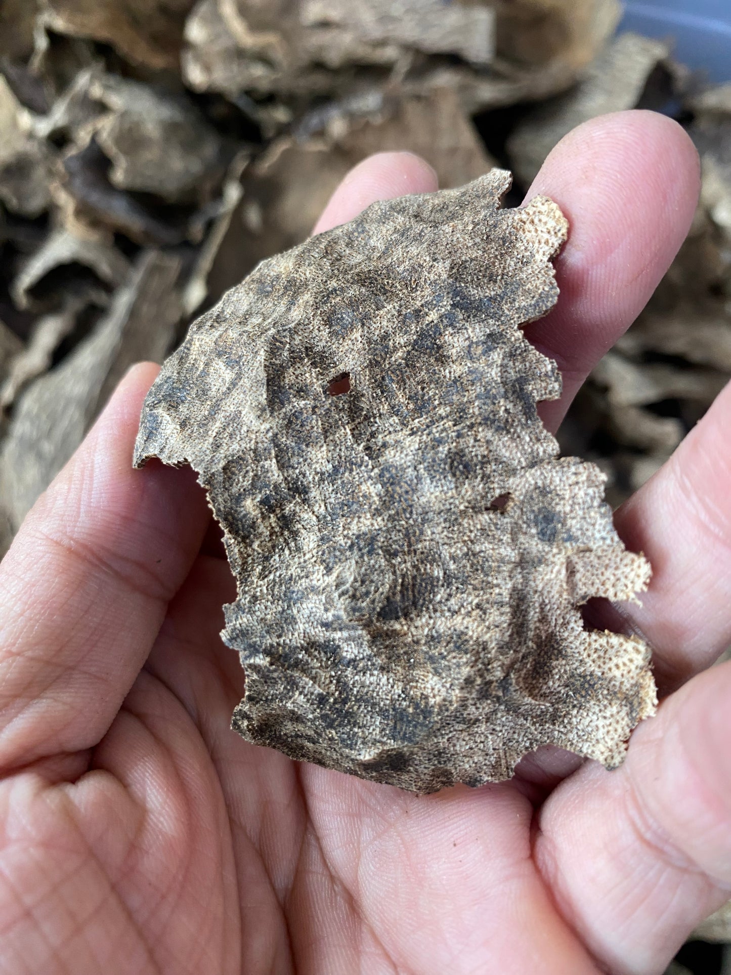 Old Agarwood Chips , Oudh Chip, High Quality Agarwood , Vietnamese Wild Agarwood Chips .