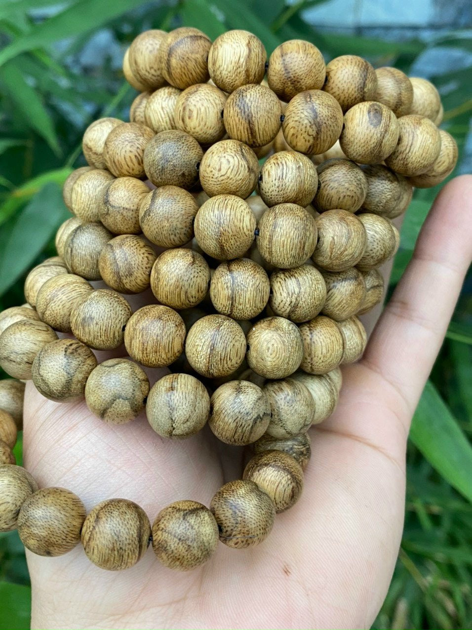 Indonesia Kalimantan Agarwood Original Natural - Borneo Island Agarwood - Super Grade