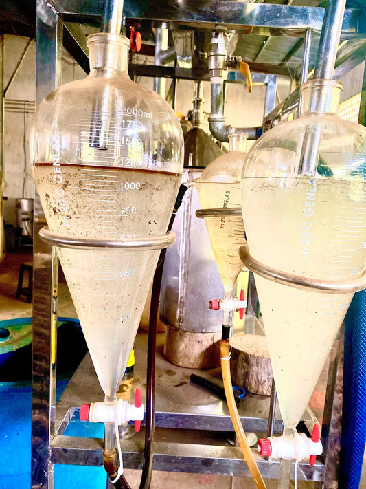 How Agarwood Oil Is Made - Factoy Duy Hai Agarwood