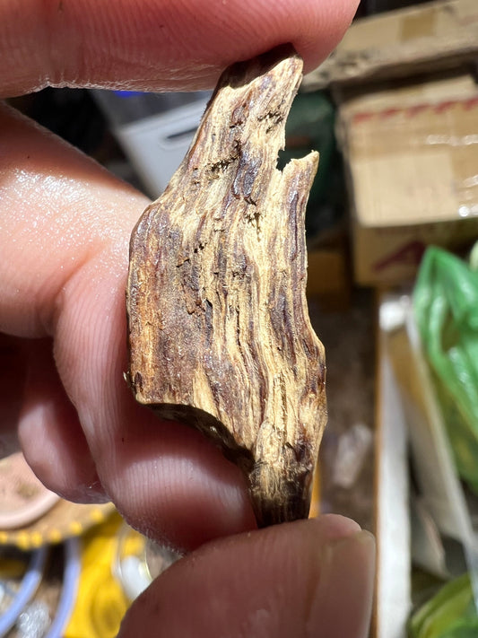 Rare Vietnamese Ky Nam Collection At Duy Hai Agarwood - experiences and stories I share