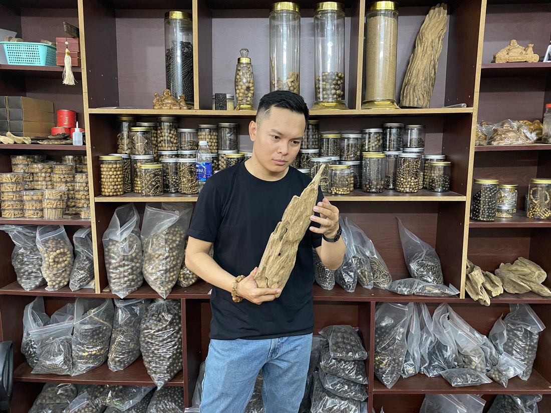 About Duy Hai Agarwood