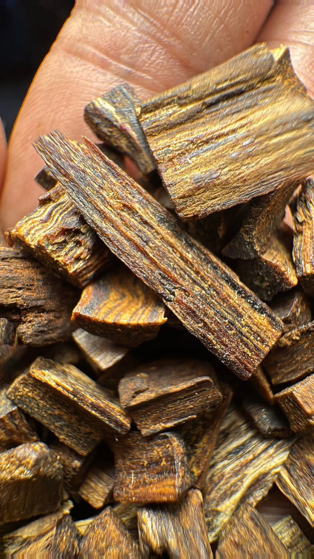 Vietnamese Kyara (Ky Nam) Agarwood Chips – Rare Natural Oud for Pendant & Personal Fragrance