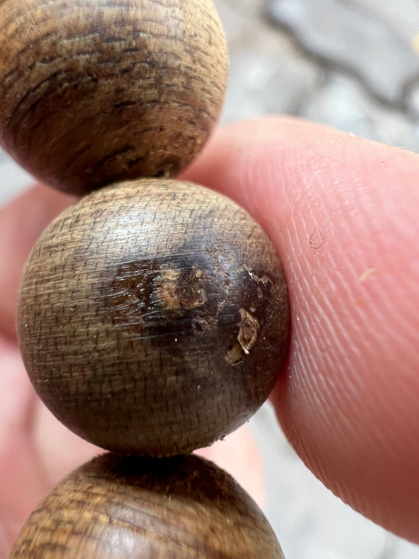 Nha Trang Wild Agarwood Bracelet All Sinking , Vietnamese Agarwood Very Rare . Only 1 .