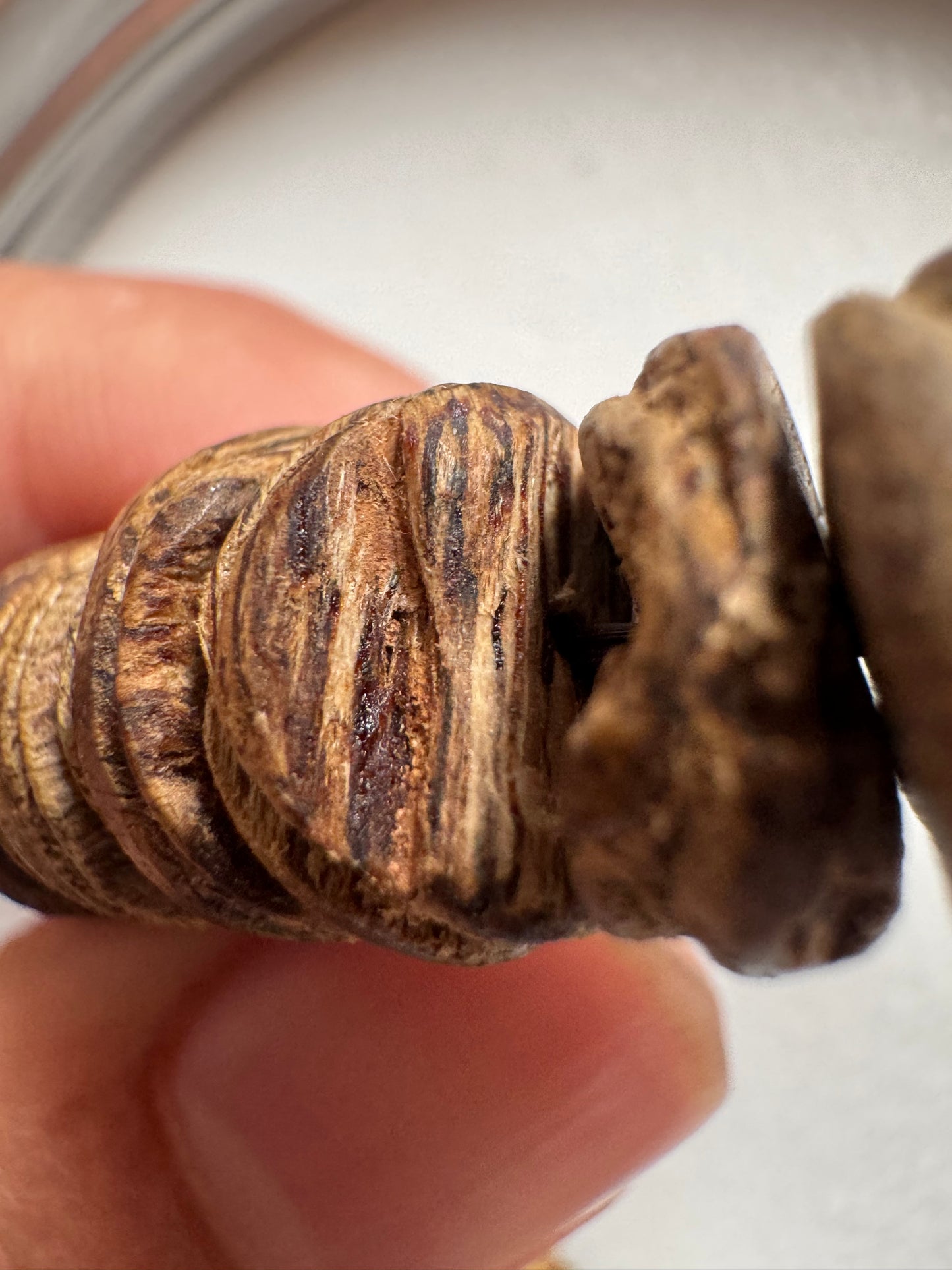 Phuoc Son Agarwood Bracelet – Slim Beads, Near-Sinking Grade, Natural Vietnamese Oud