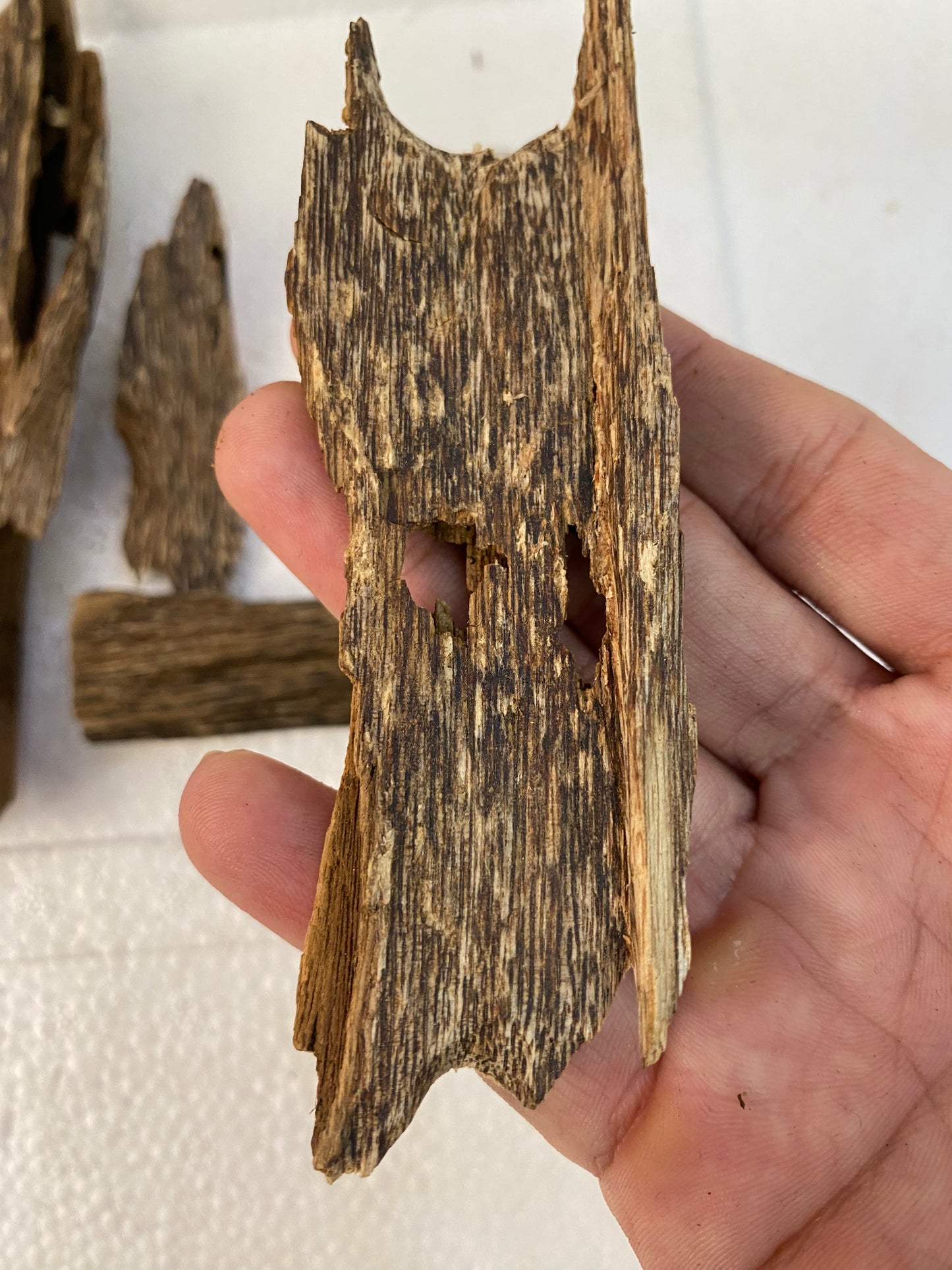 Agarwood Chips Vietnamese , Premium Grade Oud Chips / Vietnamese Agarwood Natural,