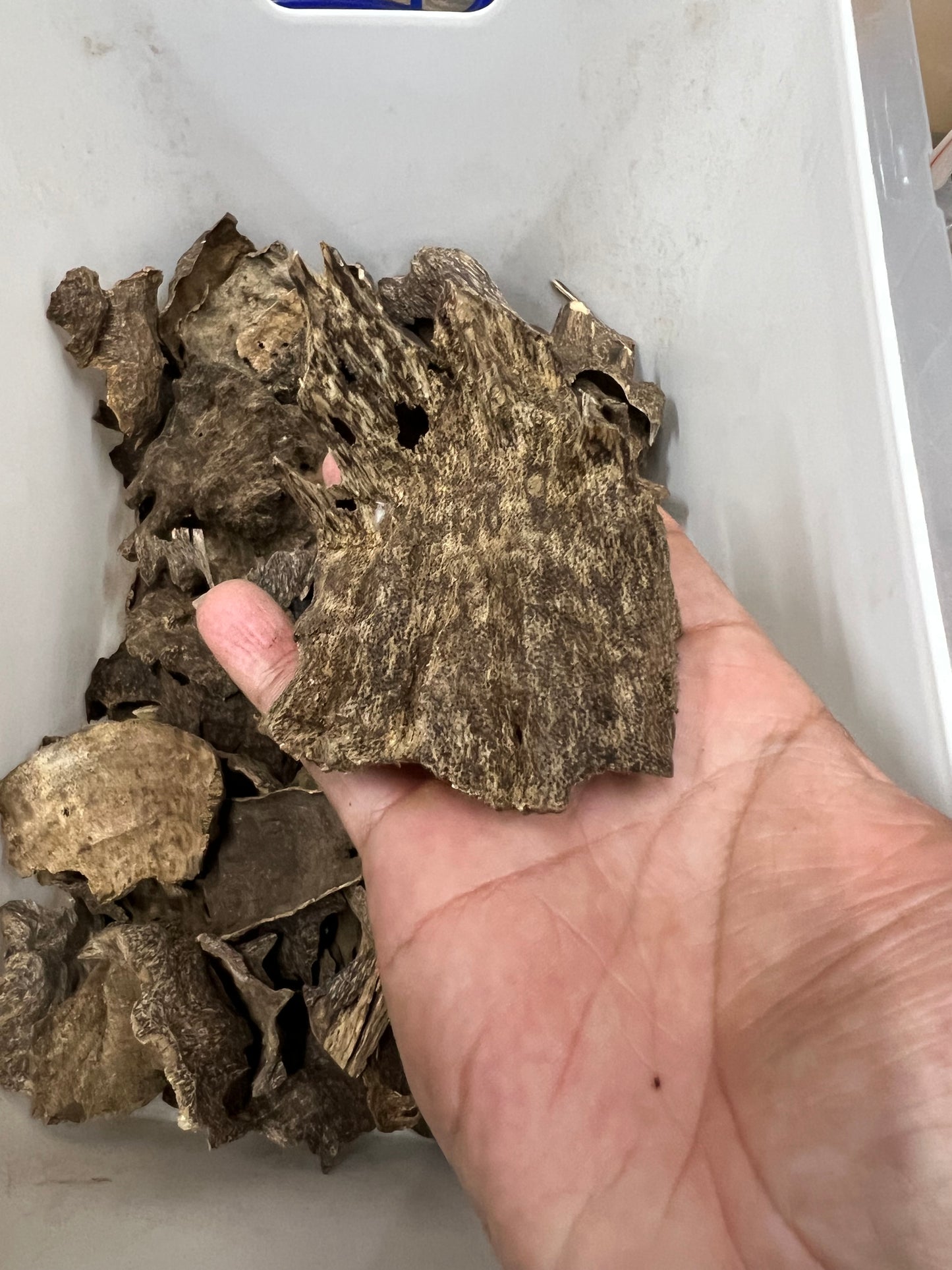 Agarwood Chips From Nha Trang - 1kilo