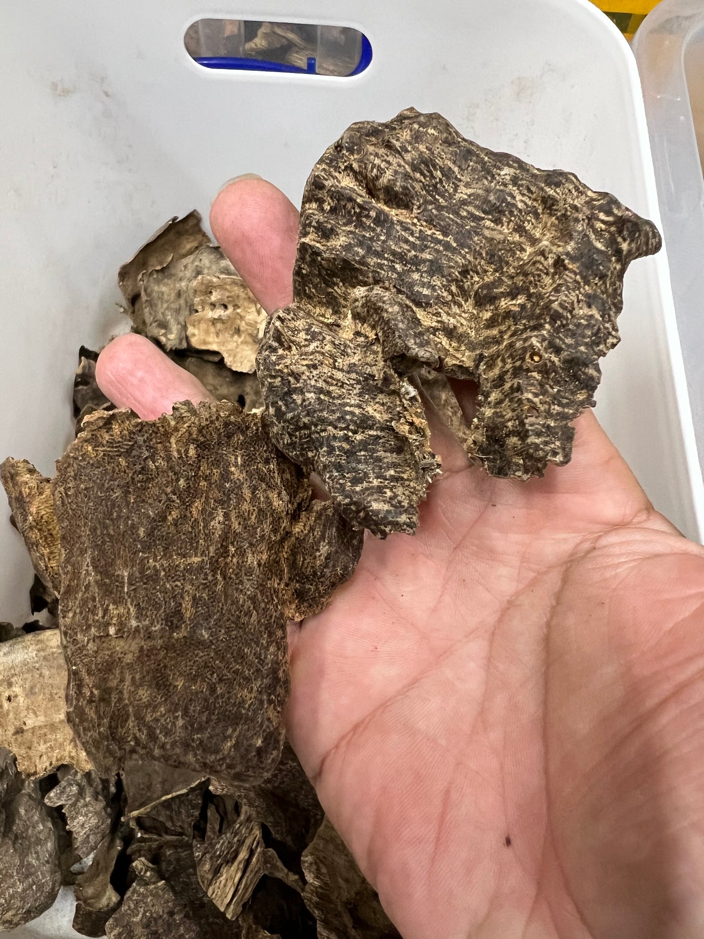 Agarwood Chips From Nha Trang - 1kilo