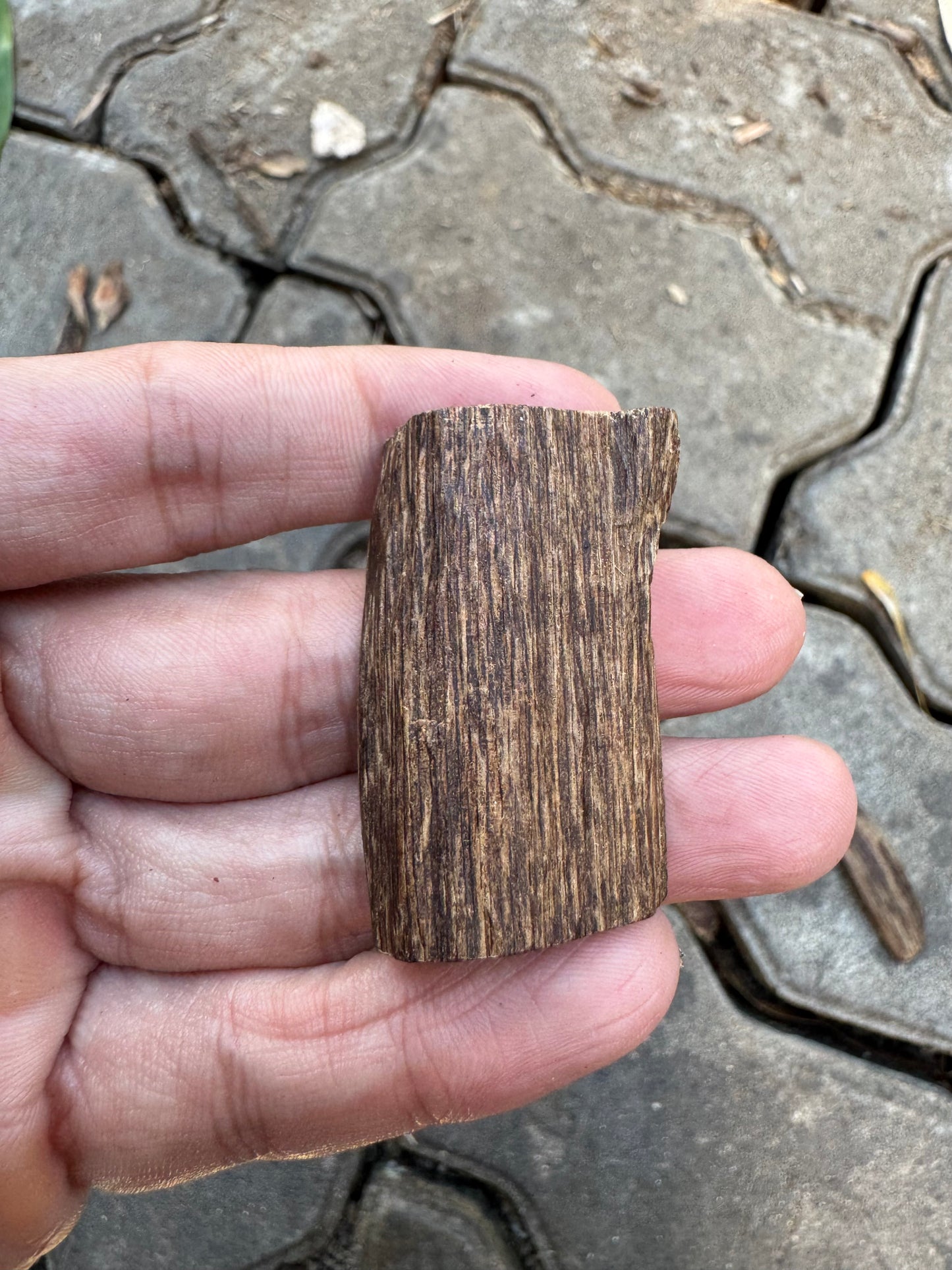 Agarwood Vietnam Sinking Pendant , Rare Sinking Agarwood From Vietnamese Forest , Strong Natural Fragrance & Ancient Resin Layers