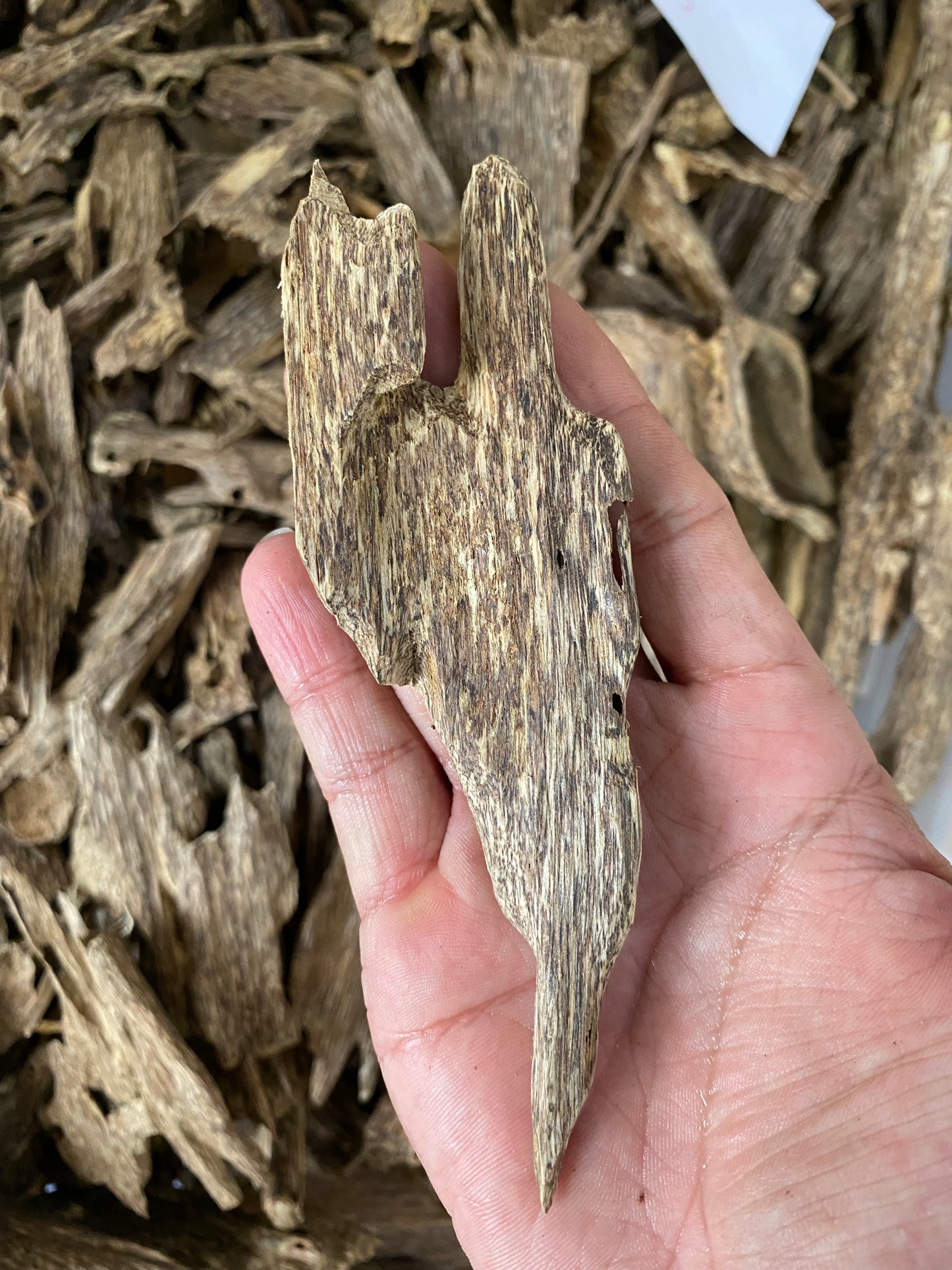 Wild Agarwood Chips From Vietnamese Forest , Super Grade Agarwood, OUD Chips , Natural Wild Oud Chips