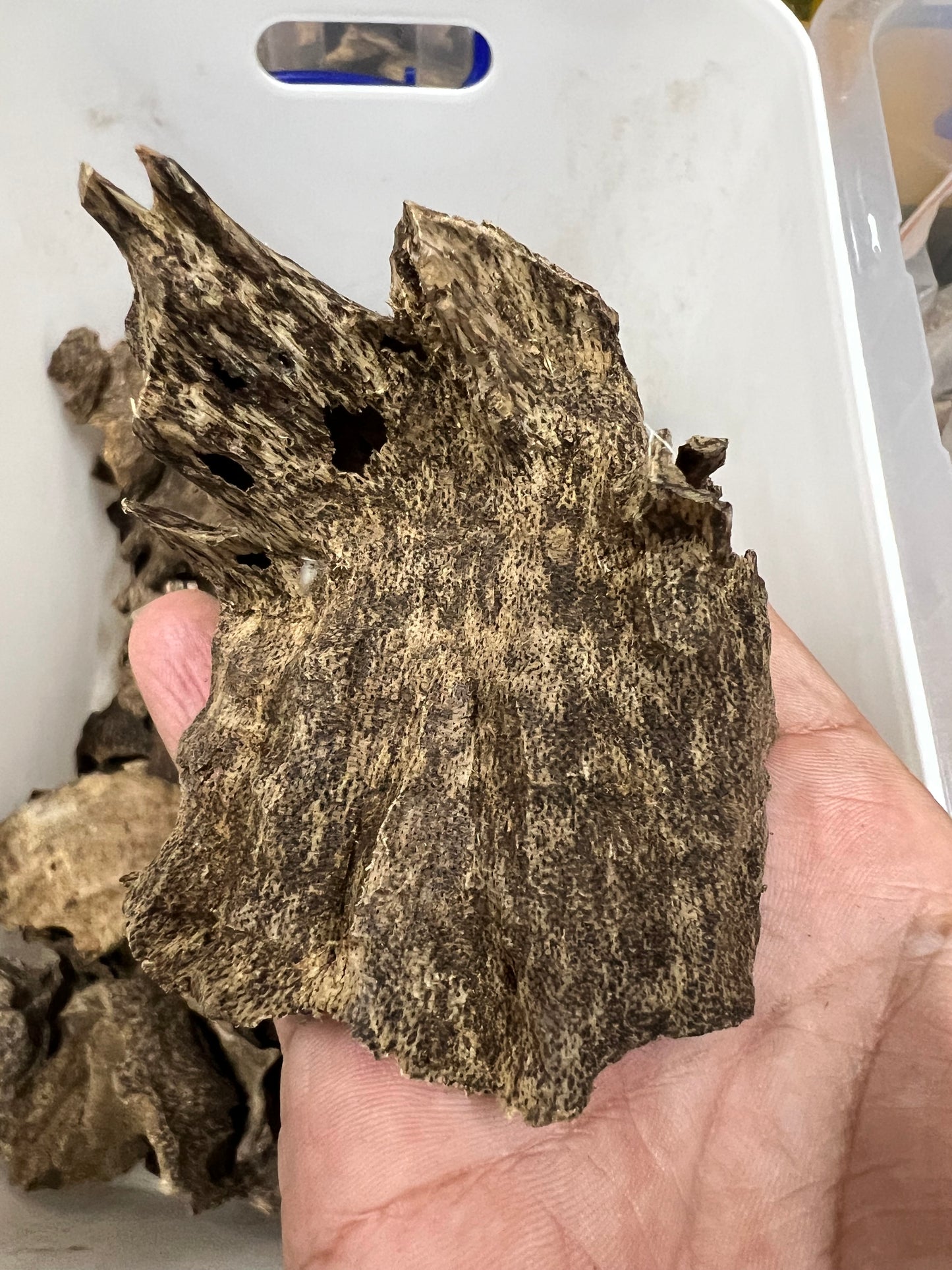 Agarwood Chips From Nha Trang - 1kilo