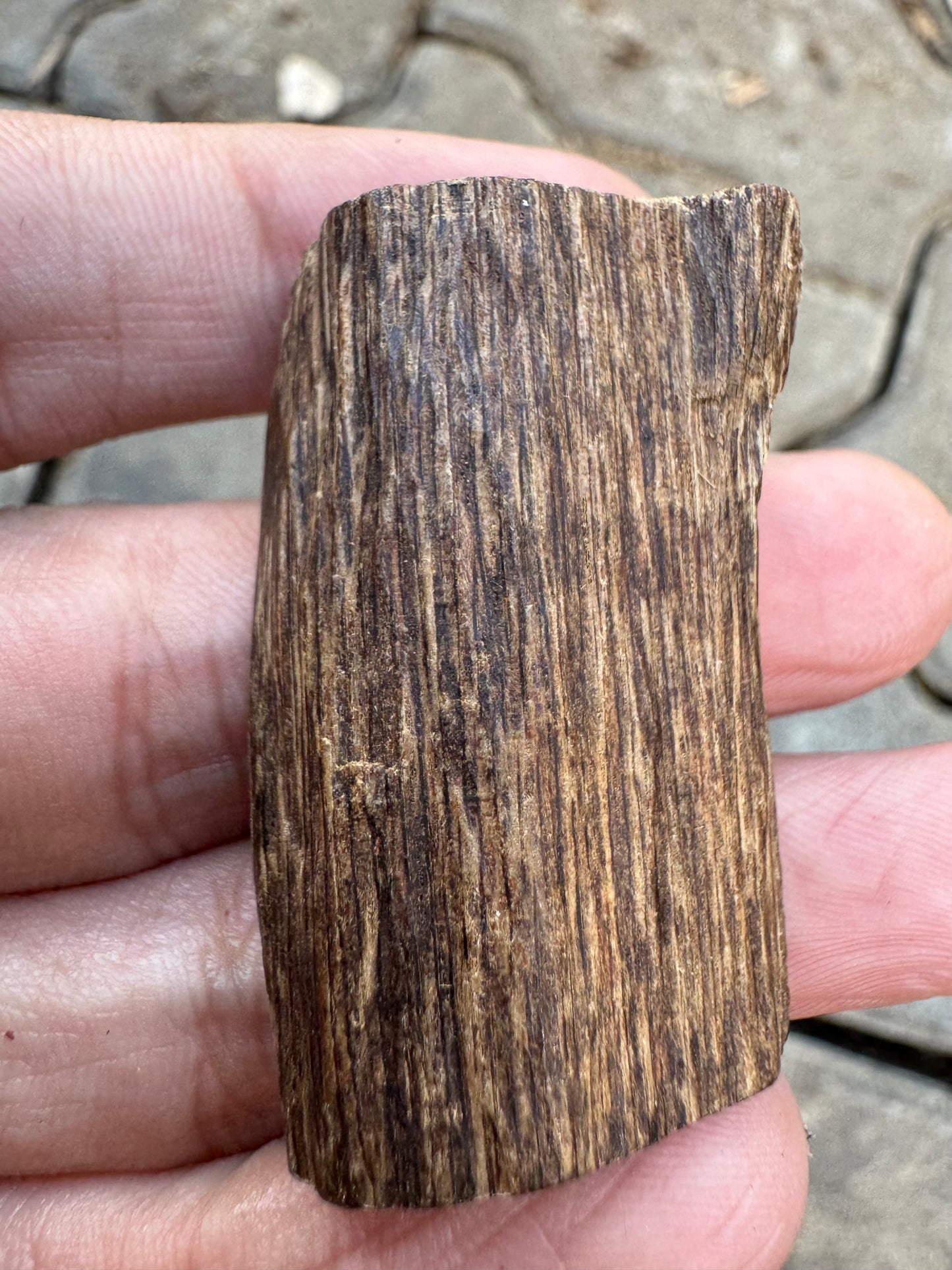 Agarwood Vietnam Sinking Pendant , Rare Sinking Agarwood From Vietnamese Forest , Strong Natural Fragrance & Ancient Resin Layers