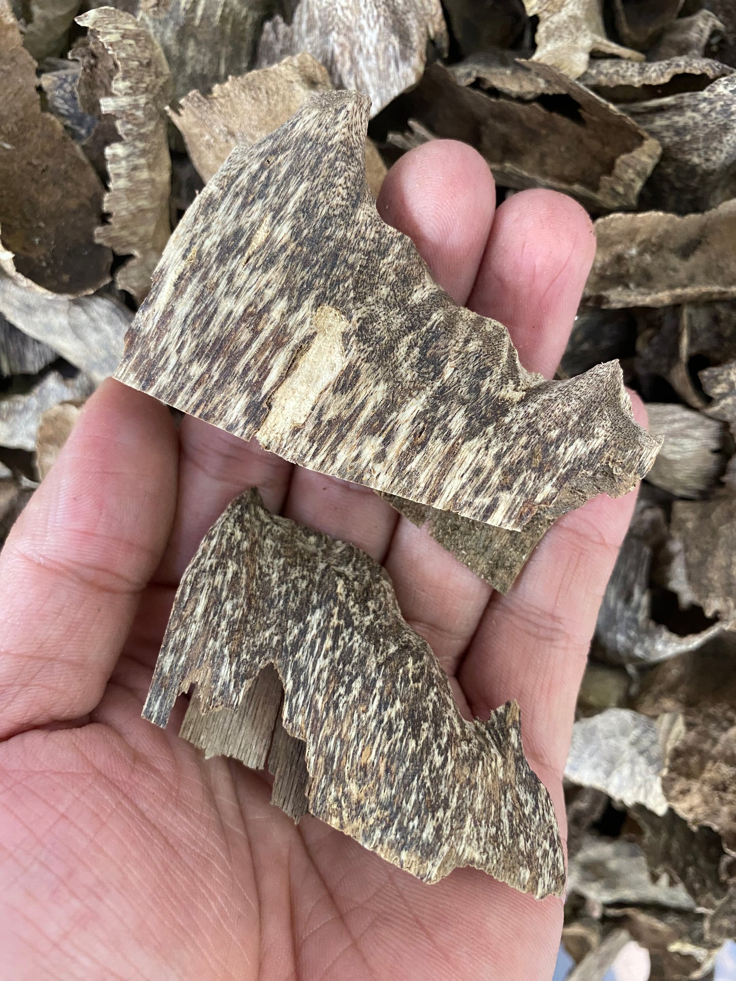 Oudh Chips Super King , Strong Arom , Wild Agarwood Chips , Very Rare Agarwood