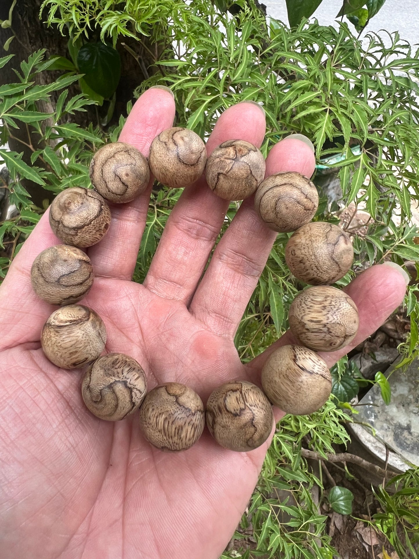 Natural Wild Lao Nakai Agarwood Bracelet - 18mm (Strong Aroma)