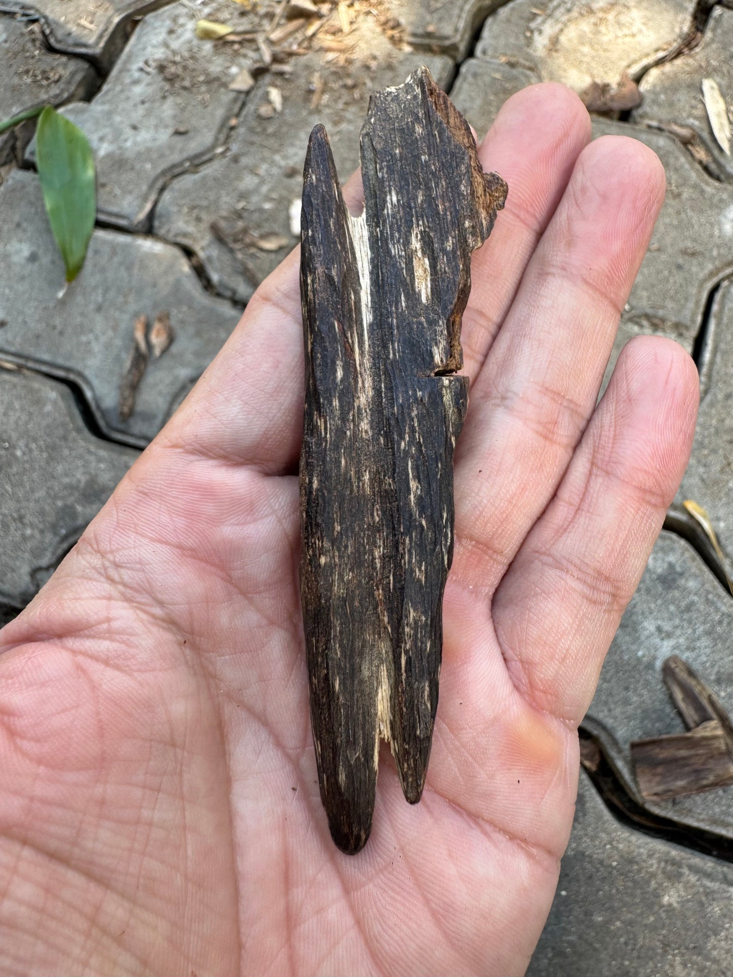 Agarwood Vietnam Sinking Pendant , Rare Sinking Agarwood From Vietnamese Forest , Strong Natural Fragrance & Ancient Resin Layers