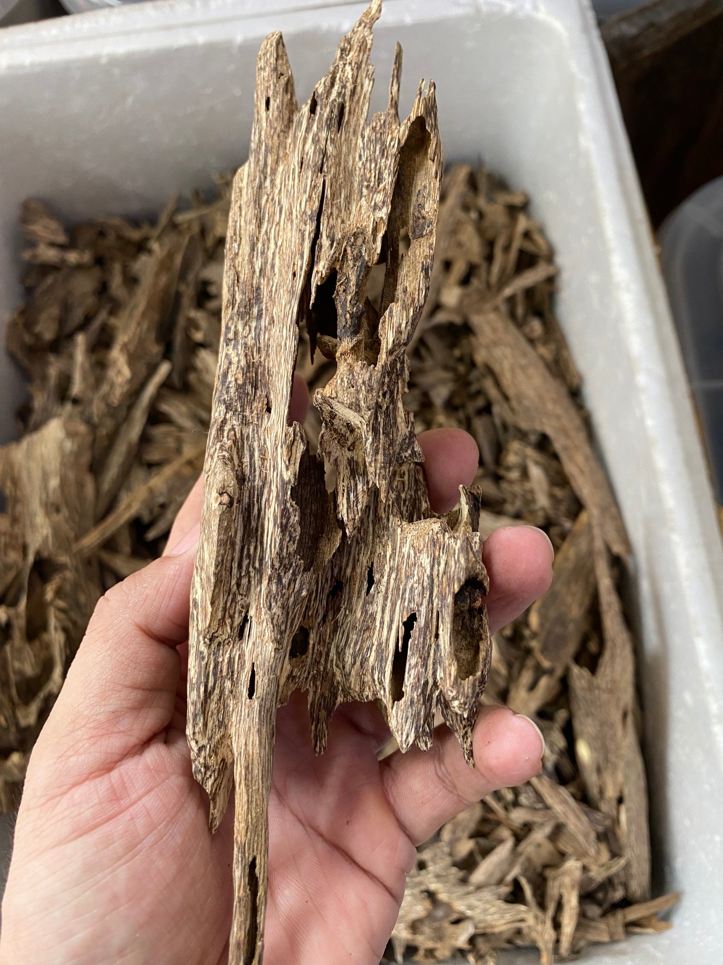 Wild Agarwood Chips - Grade Super  , Wild Oud Chips, Vietnamese Agarwood Chips, Natural Agarwood Chip, Vietnamese Organic Agarwood Chips