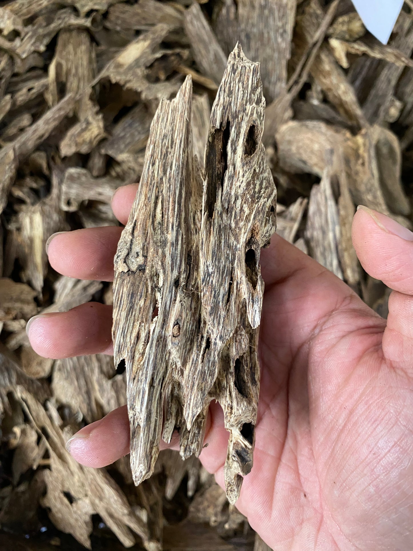 Wild Agarwood Chips From Vietnamese Forest , Super Grade Agarwood, OUD Chips , Natural Wild Oud Chips