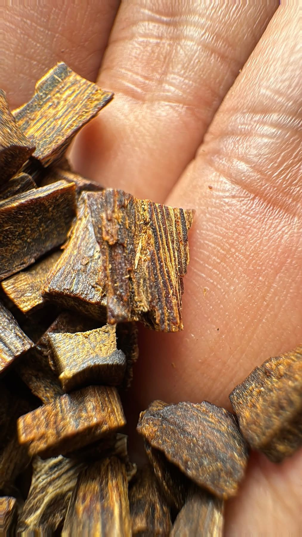 Vietnamese Kyara (Ky Nam) Agarwood Chips – Rare Natural Oud for Pendant & Personal Fragrance