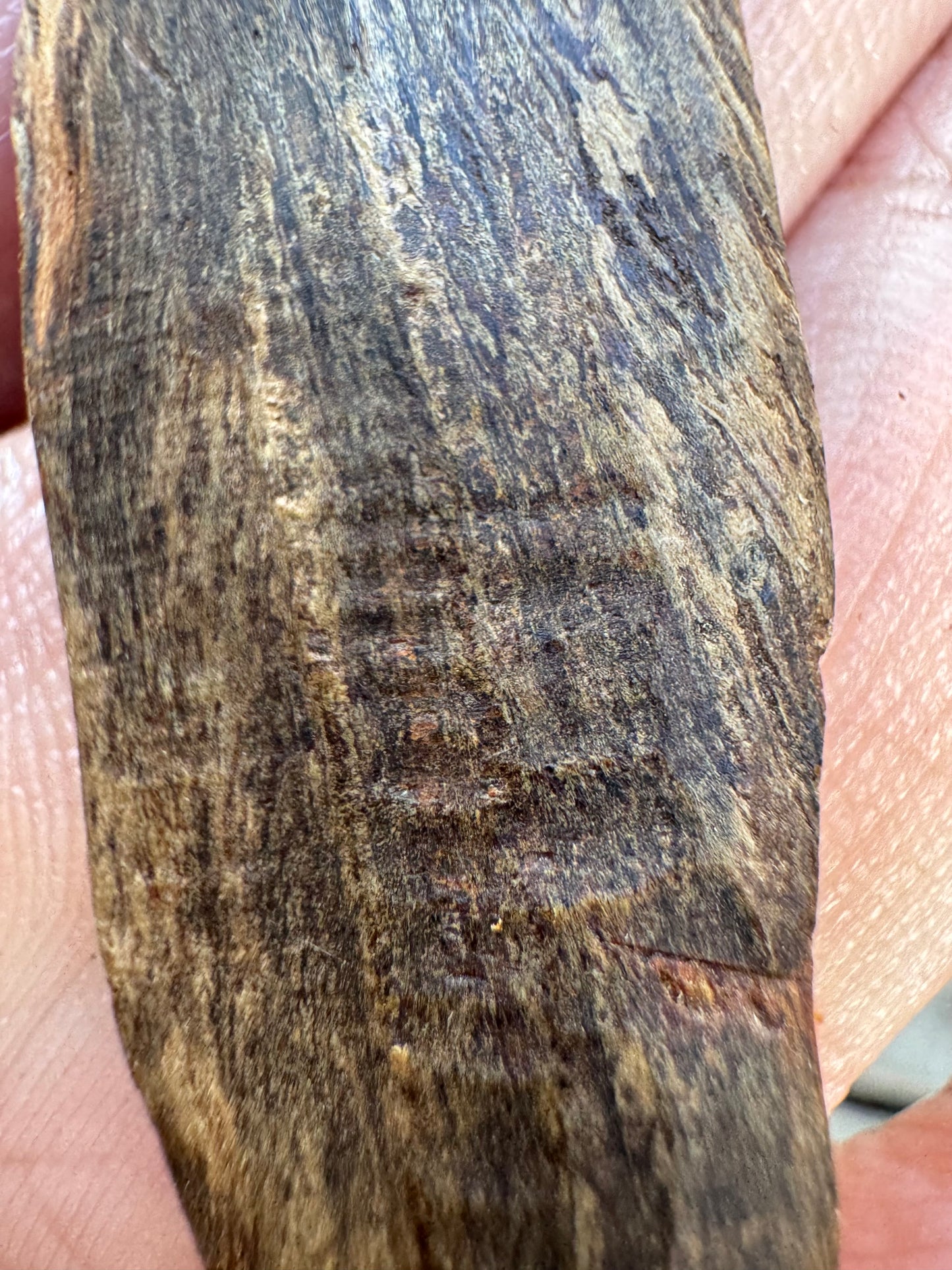 Agarwood Vietnam Sinking Pendant , Rare Sinking Agarwood From Vietnamese Forest , Strong Natural Fragrance & Ancient Resin Layers