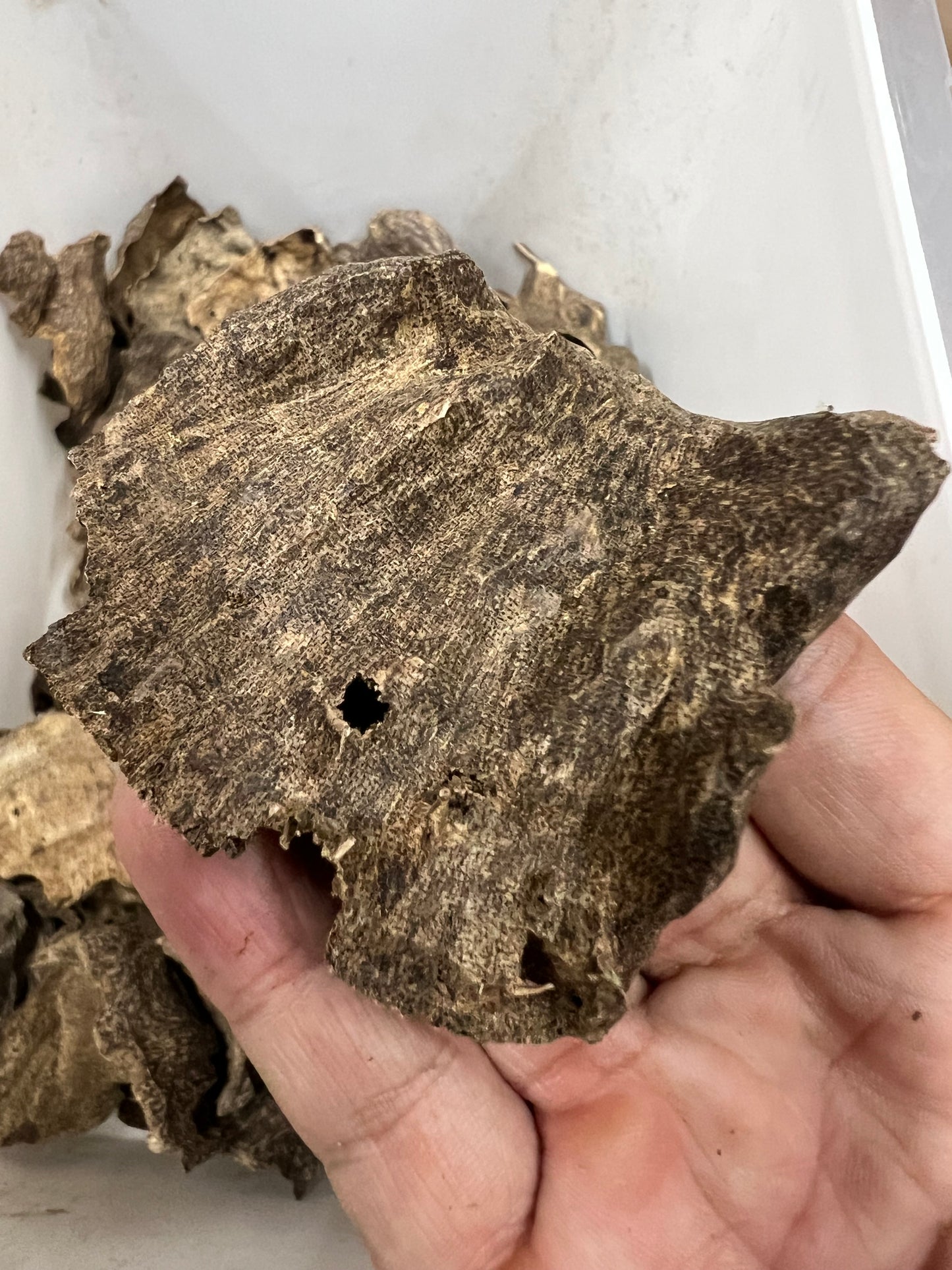 Agarwood Chips From Nha Trang - 1kilo