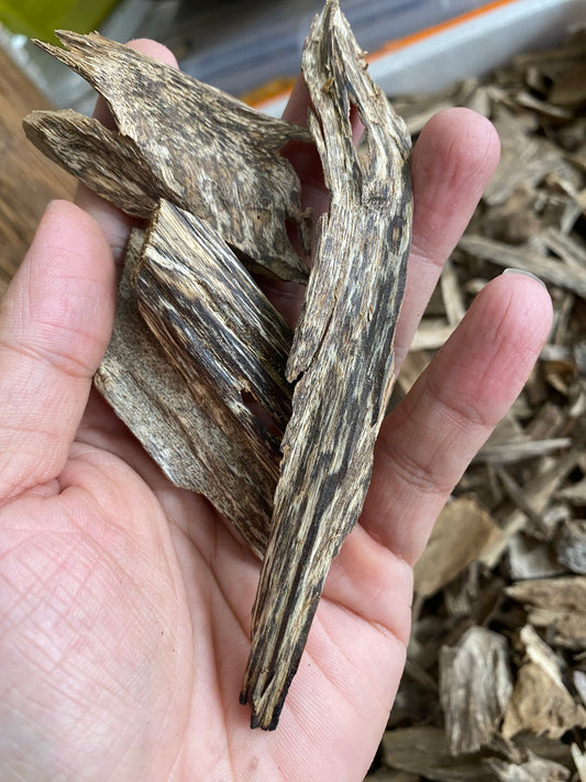 Agarwood Chips Very Oil , Wild Oudh , Oud Chips , Wild Agarwood Vietnamese .