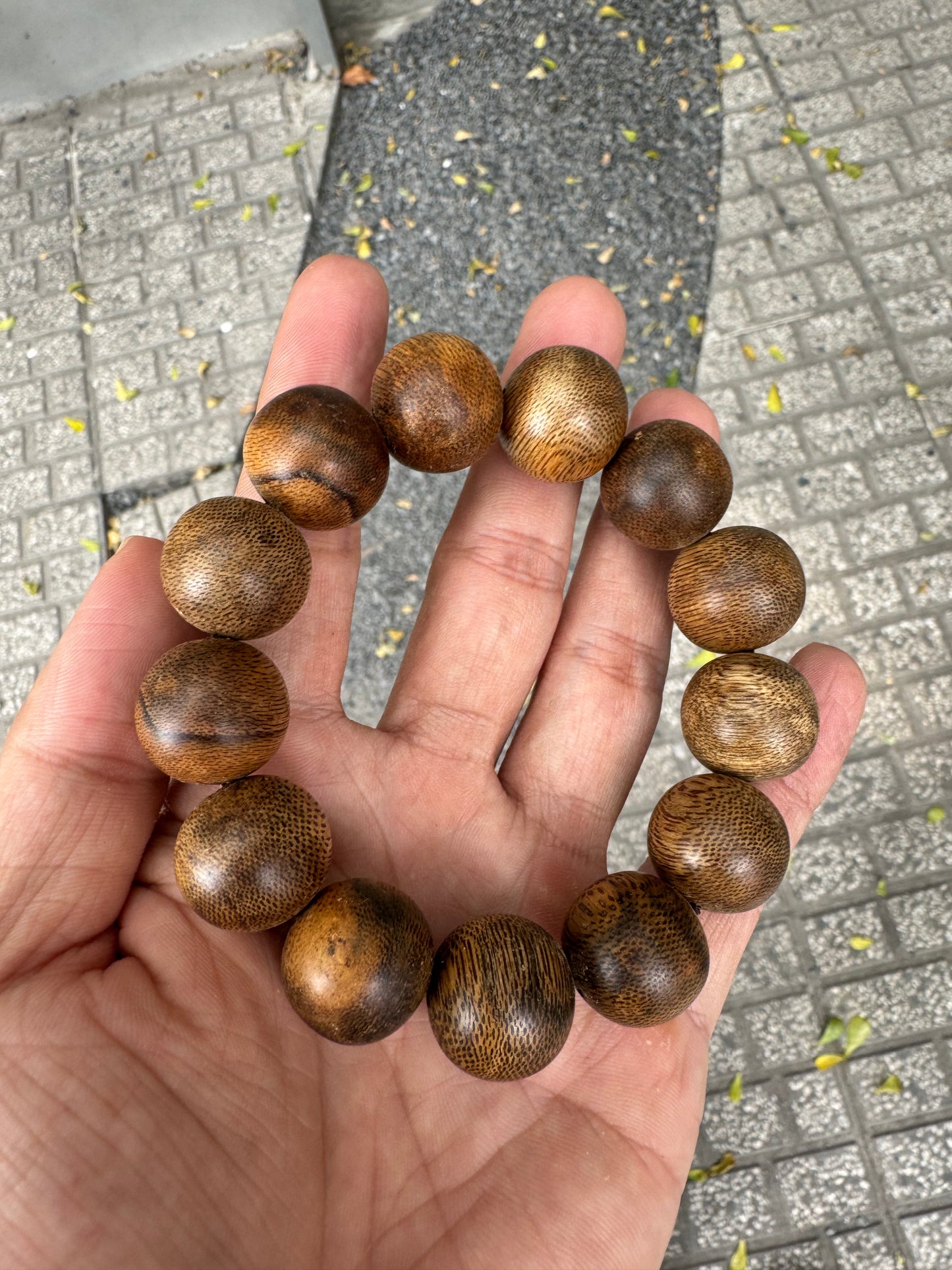 Vietnamese Wild Agarwood Bracelet  Size 18mm , Agarwood From Hue Quang Binh Forest, Big Beads For Men.