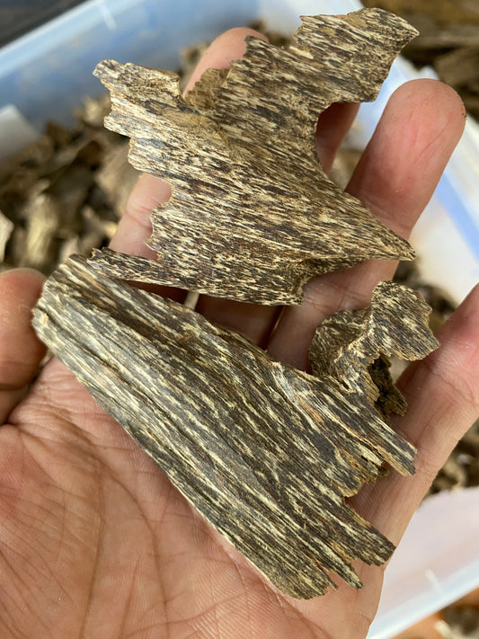 Oudh Chips Super King , Strong Arom , Wild Agarwood Chips , Very Rare Agarwood