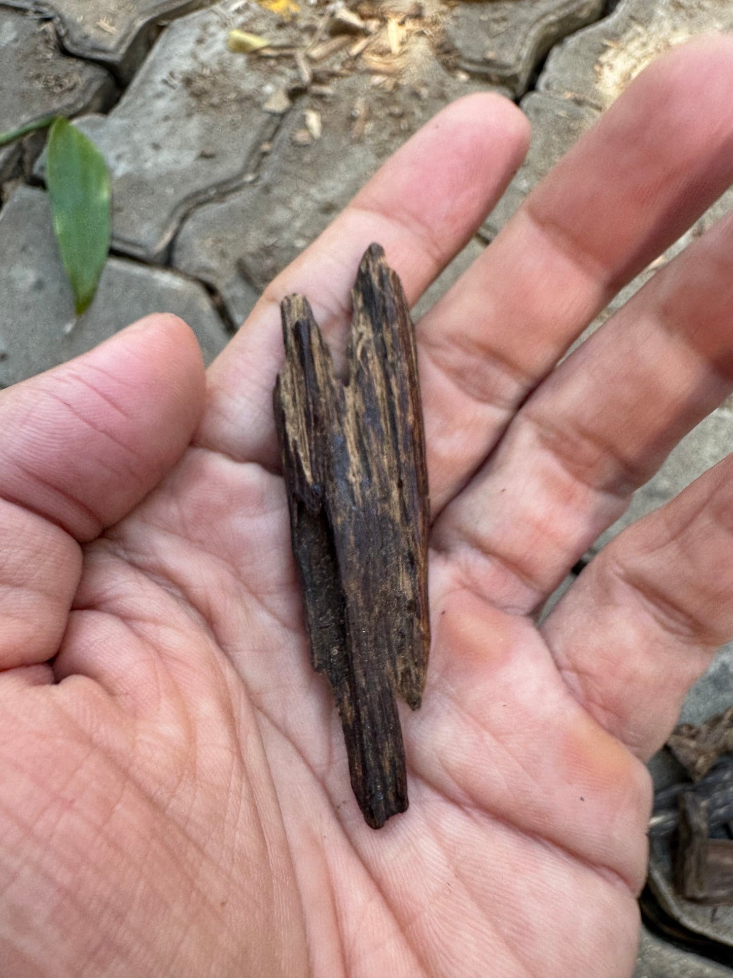 Agarwood Vietnam Sinking Pendant , Rare Sinking Agarwood From Vietnamese Forest , Strong Natural Fragrance & Ancient Resin Layers