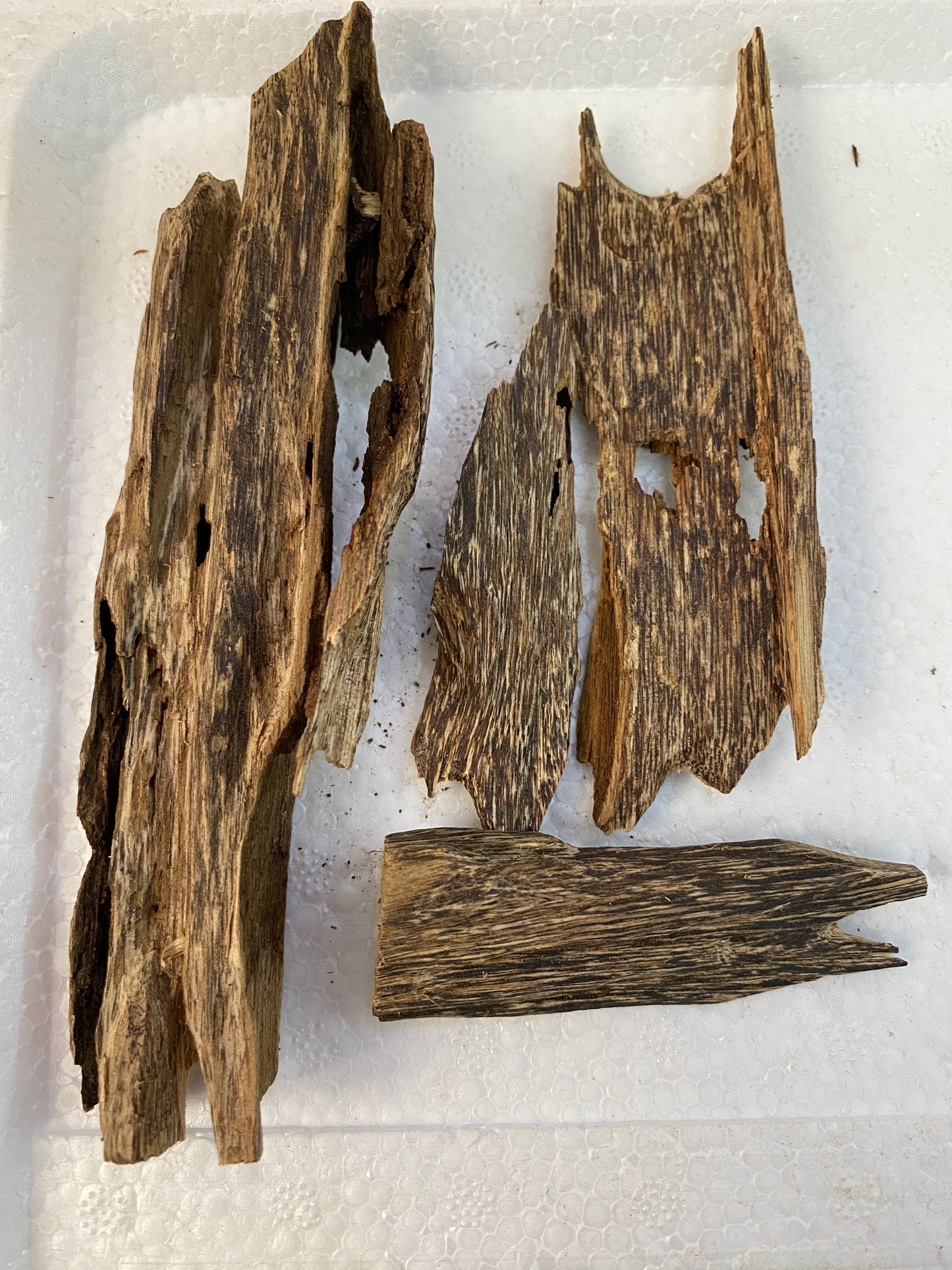 Agarwood Chips Vietnamese , Premium Grade Oud Chips / Vietnamese Agarwood Natural,