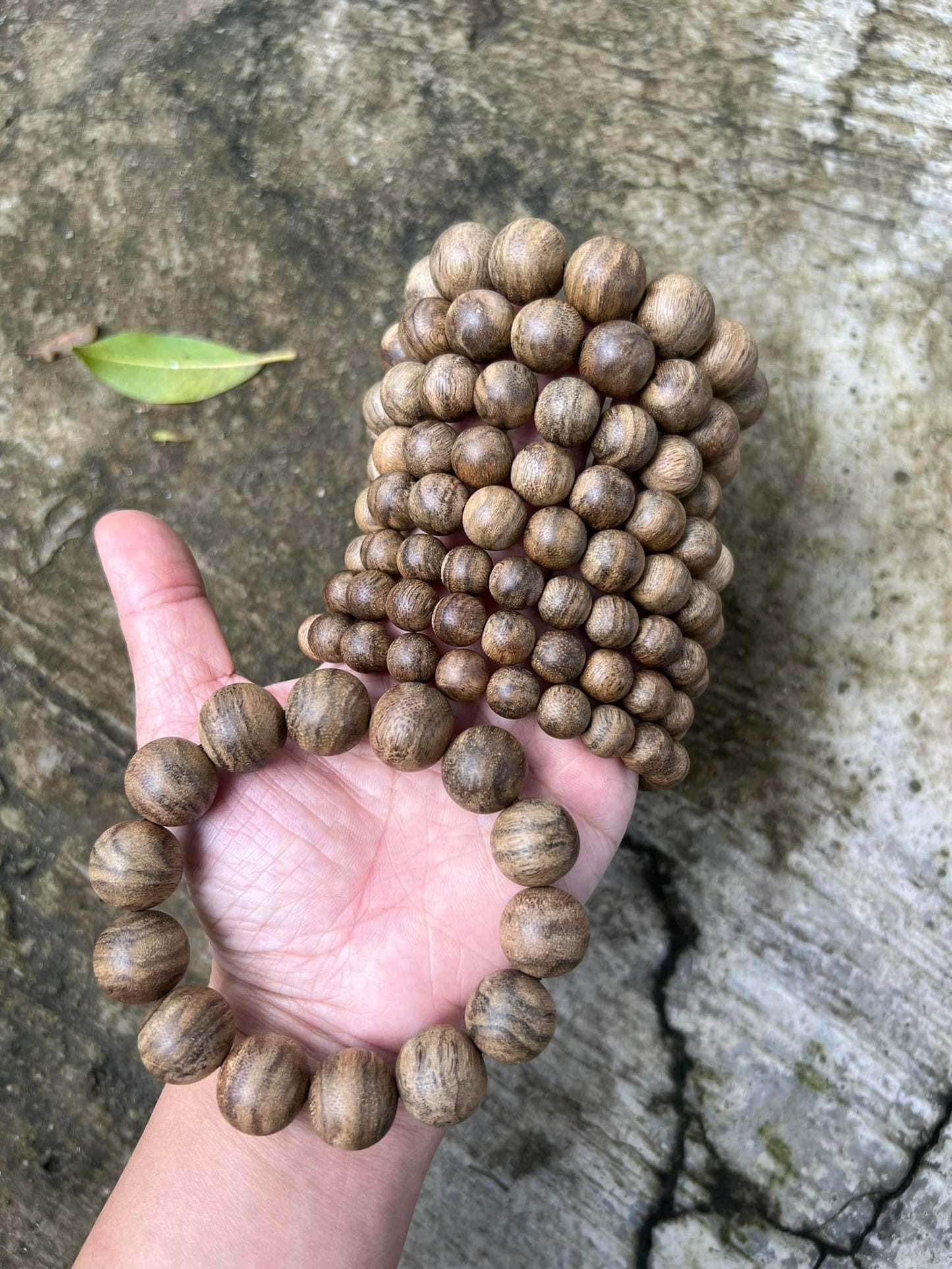 Campodia Agarwood Premium Bracelet,The wood grain rich and beautiful, attractive fragrance, jewelry bracelet.