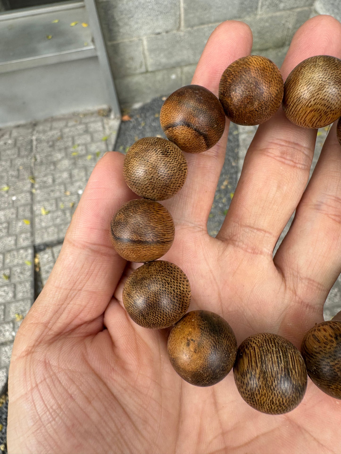 Vietnamese Wild Agarwood Bracelet  Size 18mm , Agarwood From Hue Quang Binh Forest, Big Beads For Men.