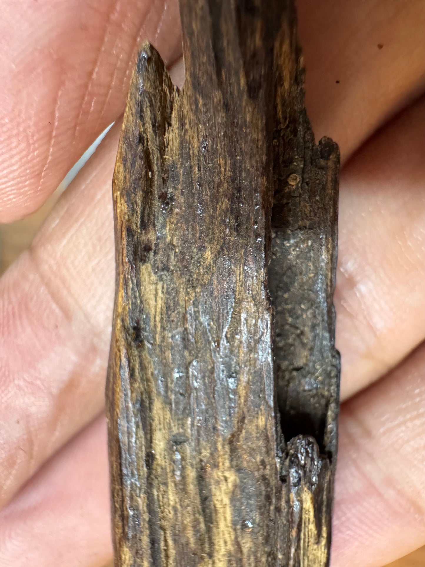 Agarwood Vietnam Sinking Pendant , Rare Sinking Agarwood From Vietnamese Forest , Strong Natural Fragrance & Ancient Resin Layers