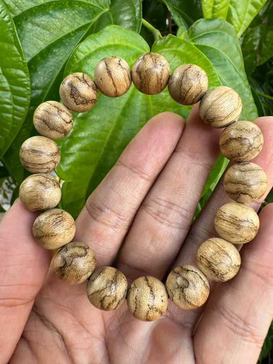 Indonesia Kalimantan Agarwood Original Natural - Borneo Island Agarwood - Super Grade