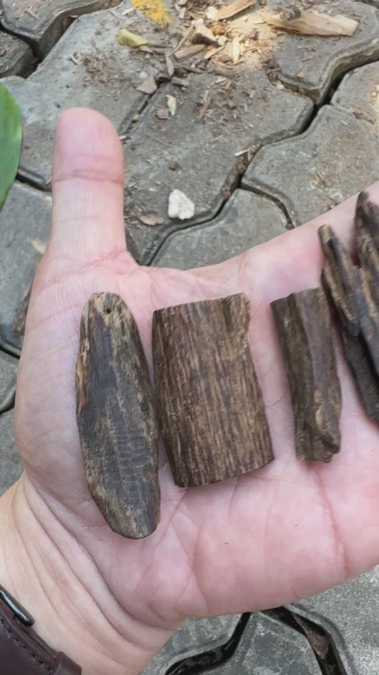 Agarwood Vietnam Sinking Pendant , Rare Sinking Agarwood From Vietnamese Forest , Strong Natural Fragrance & Ancient Resin Layers