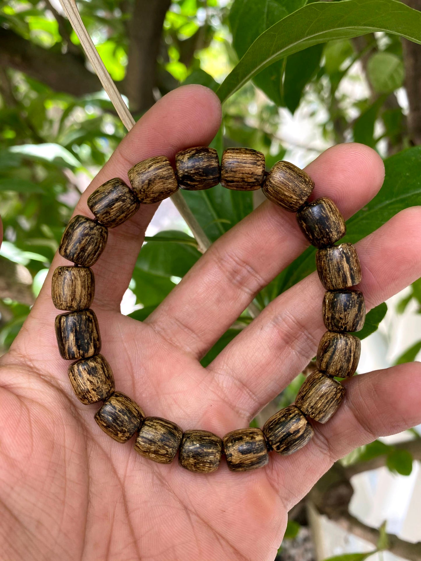 Wild Agarwood Bracelet - Lu Thong Bracelet