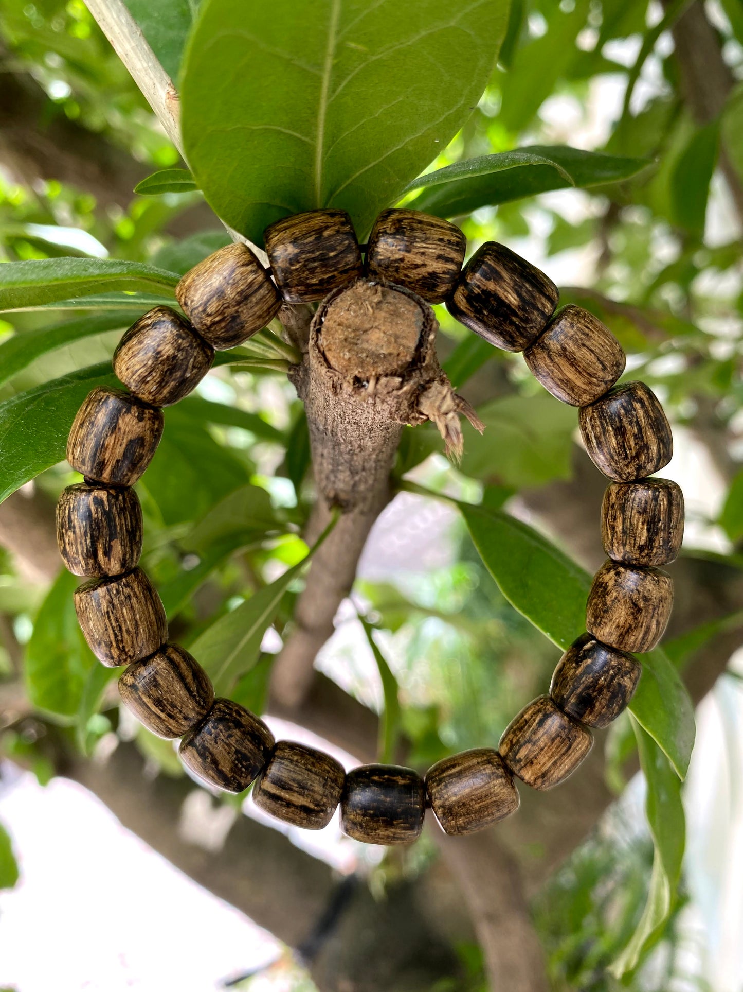 Wild Agarwood Bracelet - Lu Thong Bracelet