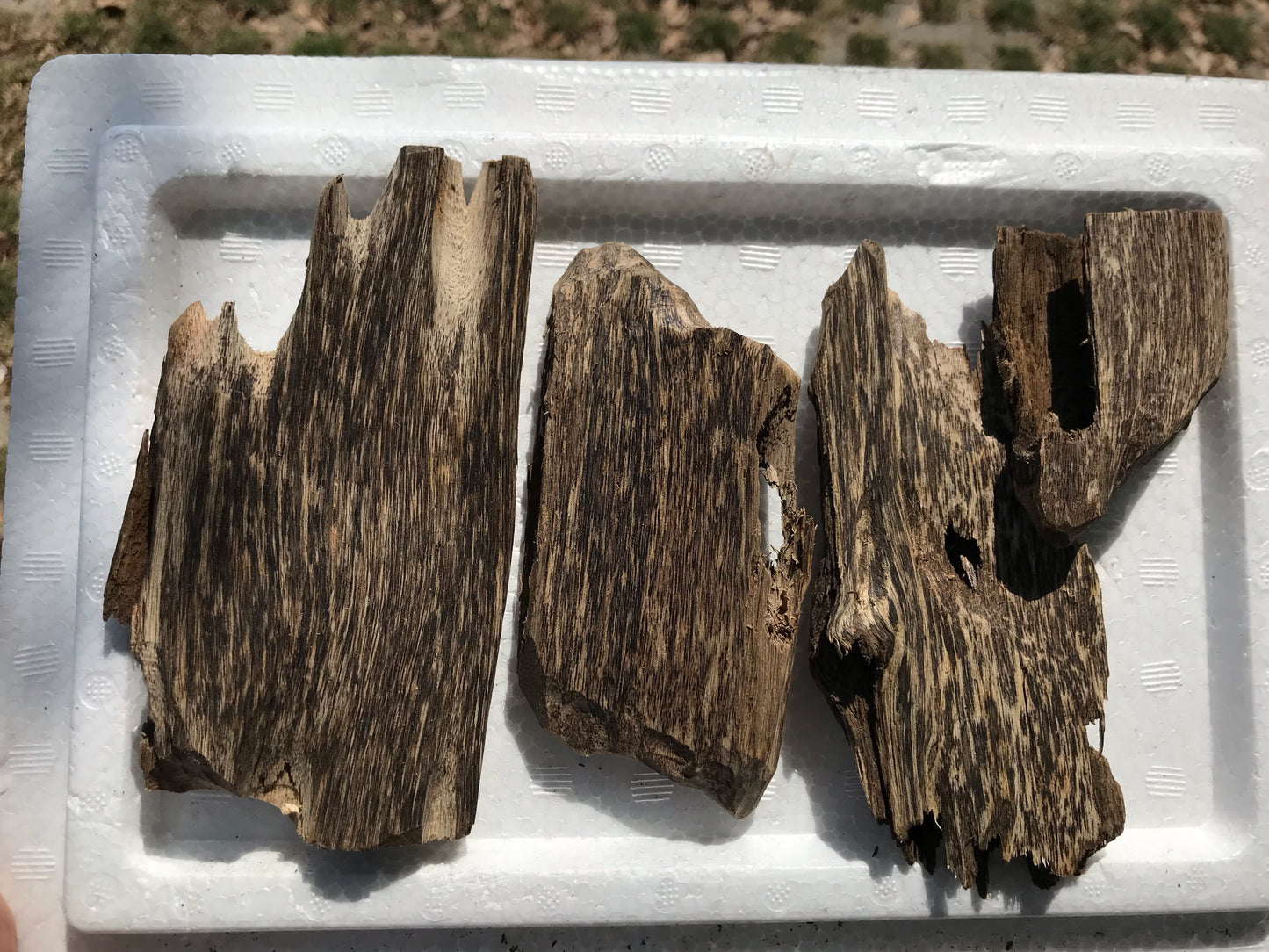 Vietnamese Wild Agarwood Chips ,Grade AA , Alot Of Oil & Strong Aroma, Clean Trimmed,Wild Oud Chips