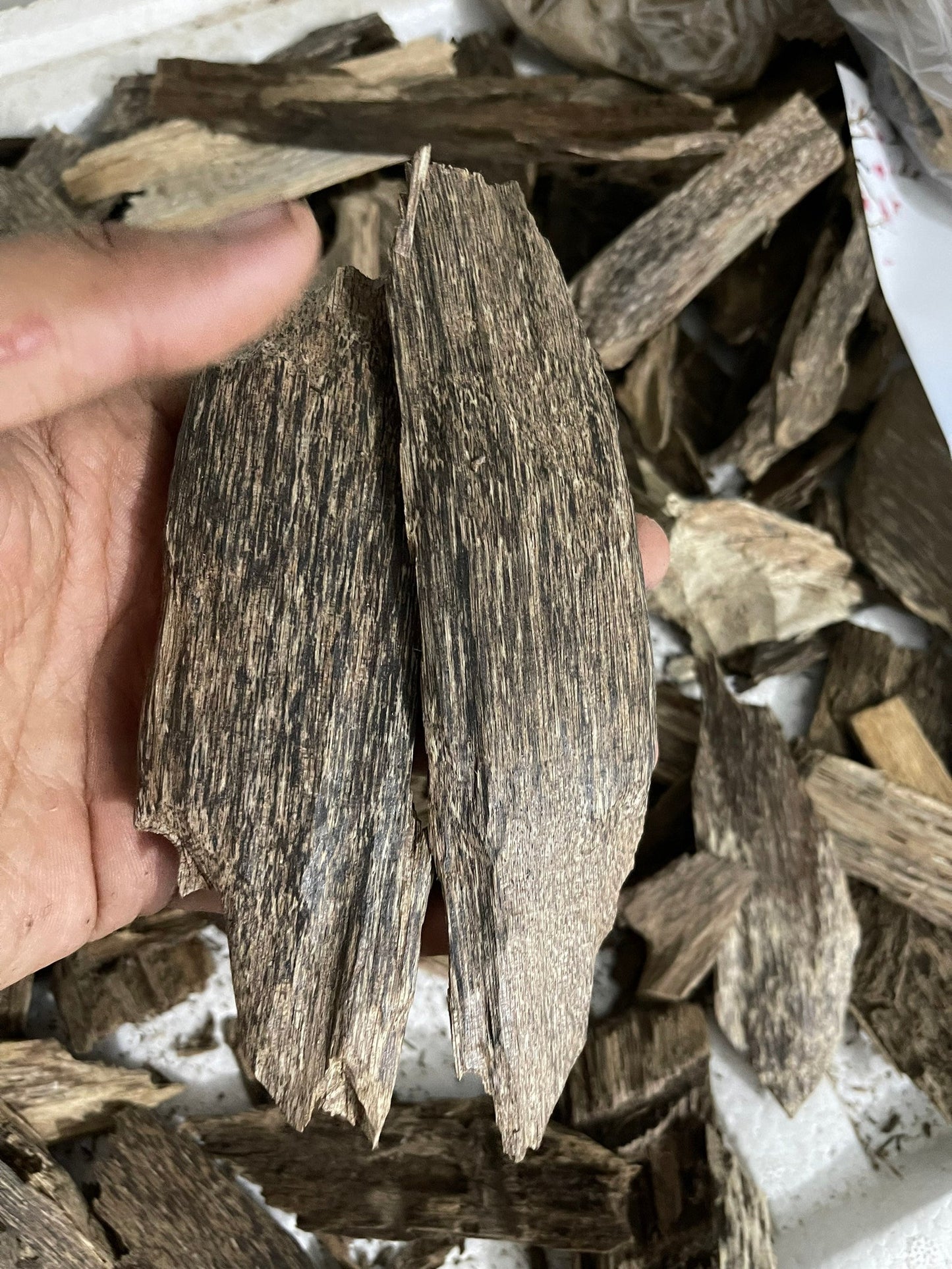 Agarwood Chips - Grade AAA , Natural Agarwood Chip ,Vietnamese Chips , Oud Chips .