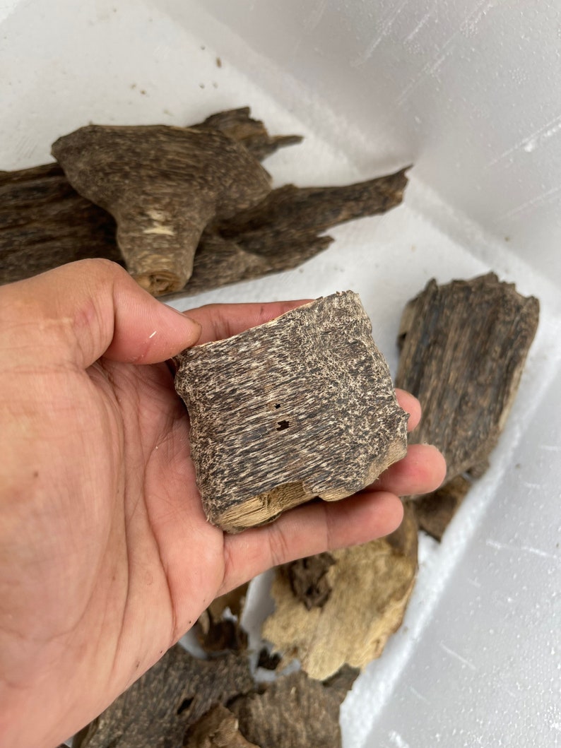 Super Grade Agarwood Chips - From Ha Tinh Forest , Wild Oudchips , Vietnamese Agarwood Chips.