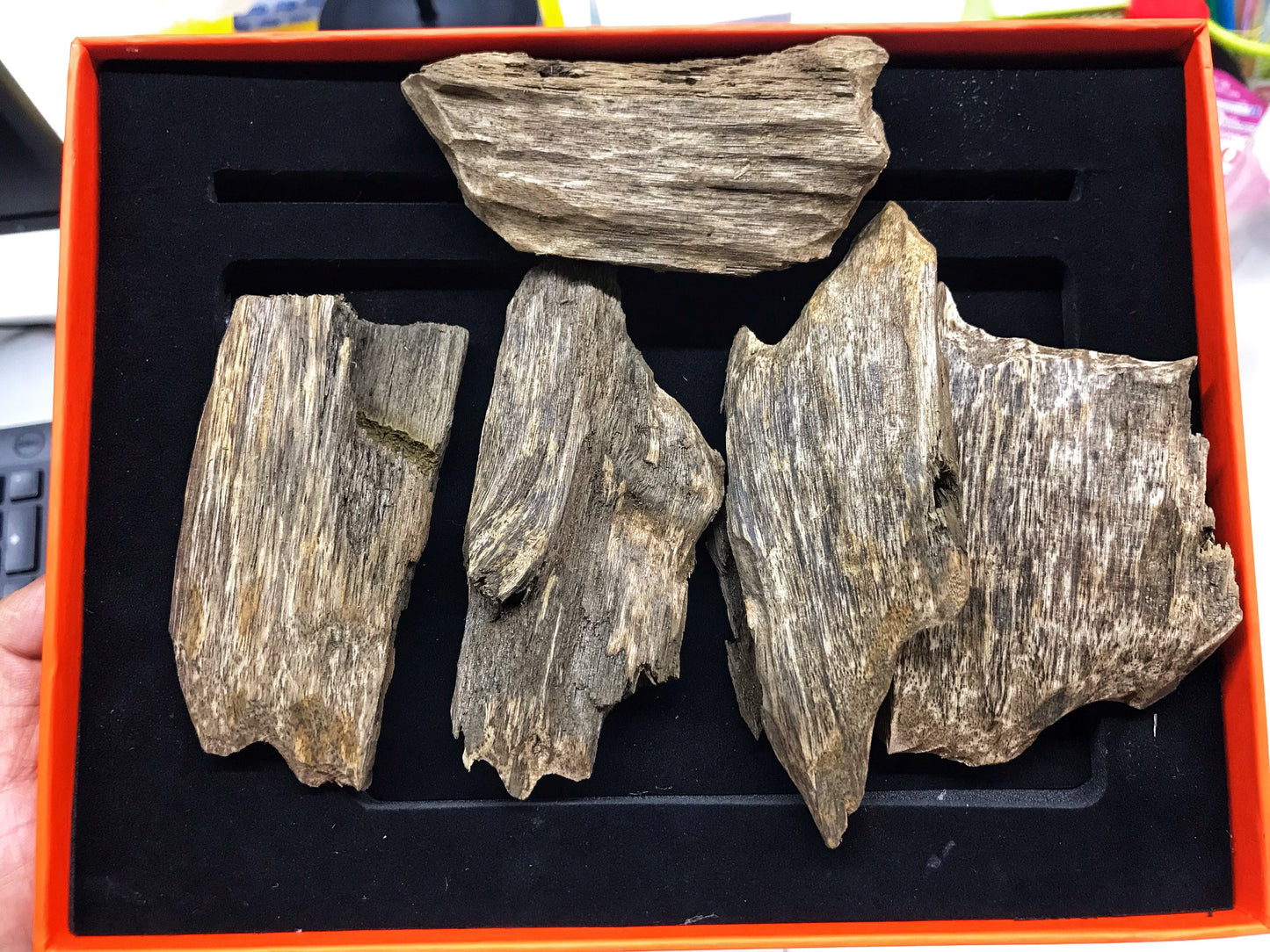 Vietnamese Wild Agarwood Chips Grade A/ Oudh / From Agarwood Vietnamese .